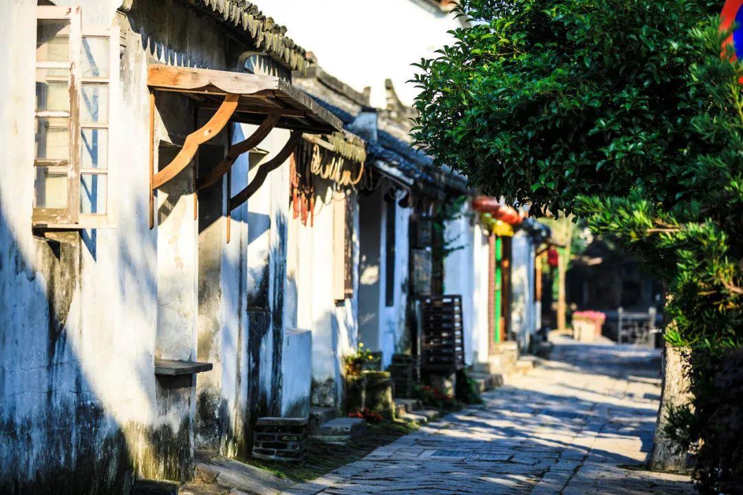 逃离老旧温泉社